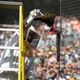 Image for article titled The Padres Killed A Lot Of Bees For Absolutely No Reason